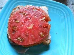 tomato sandwich
